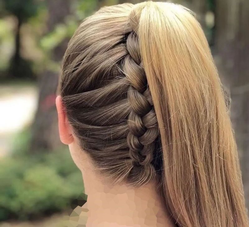 نمونه انواع مدل بافت