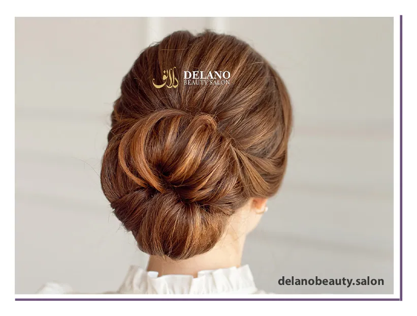 Hair Chignon