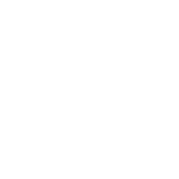 teeth
