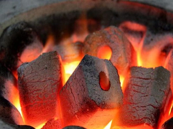 انتخاب ذغال برای باربیکیو