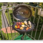 باربیکیو کوچک