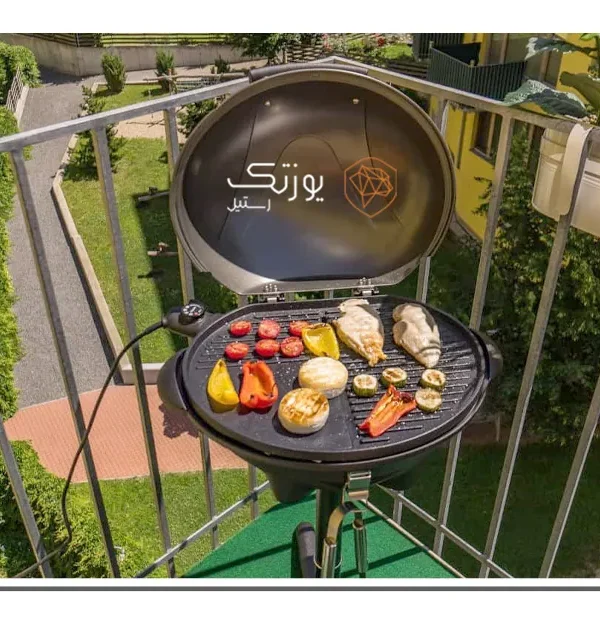 باربیکیو کوچک